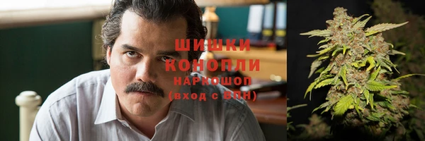 хмурый Горняк