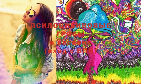 хмурый Горняк